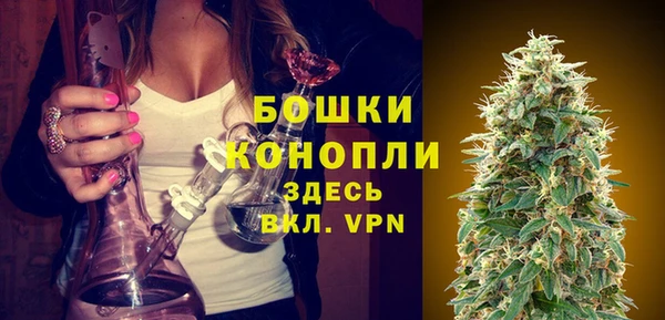 винт Арсеньев